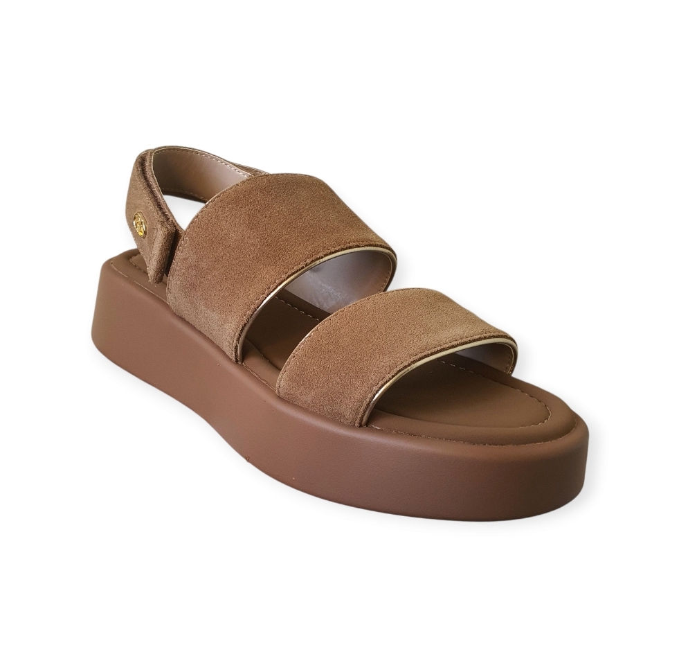 SA5187PX002 Cow suite Nut S1853